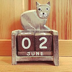 棚/猫/ナチュラル/雑貨/カレンダーのインテリア実例 - 2016-06-02 06:23:00