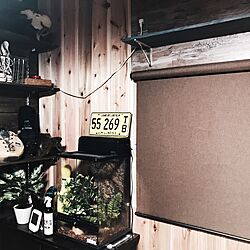 壁/天井/DIY/観葉植物/ハンドメイドのインテリア実例 - 2017-06-30 09:04:06