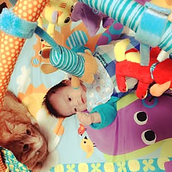 リビング/ペット/猫と暮らす/赤ちゃん/赤ちゃんのいる部屋...などのインテリア実例 - 2015-04-05 14:59:23