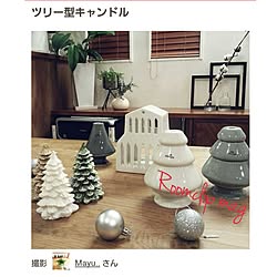 こどもと暮らす/犬と暮らす/グリーンのある暮らし/クリスマス/シンプル...などのインテリア実例 - 2016-11-27 22:35:31