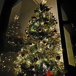 部屋全体/クリスマス/クリスマスツリー/スケルトン階段/180cmツリー...などのインテリア実例 - 2020-11-26 20:59:30