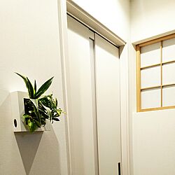 玄関/入り口/観葉植物/壁に掛けられる観葉植物/無印良品のインテリア実例 - 2017-04-01 17:09:42