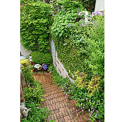 玄関/入り口/レンガ/花のある暮らし/庭のある暮らし/緑が好き...などのインテリア実例 - 2020-05-23 10:45:41