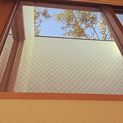 壁/天井/ナチュラル/マンションリフォーム/窓/観葉植物...などのインテリア実例 - 2017-01-13 08:16:24