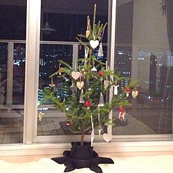 リビング/クリスマスツリー/IKEAのインテリア実例 - 2013-11-23 00:34:11