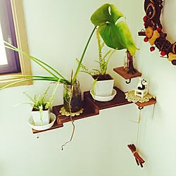 バス/トイレ/DIY/観葉植物/ハンドメイド/ナチュラル...などのインテリア実例 - 2016-02-20 21:55:33