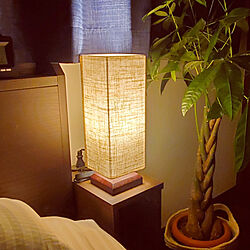 ベッド周り/照明/観葉植物のインテリア実例 - 2022-07-19 23:04:14