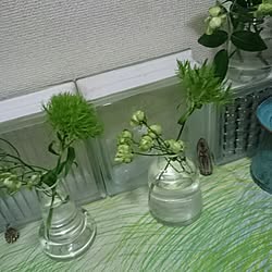 玄関/入り口/marimekko/みどり/green/植物...などのインテリア実例 - 2016-04-10 19:41:24