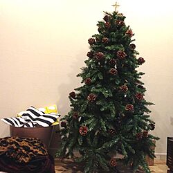 リビング/クリスマスツリーのインテリア実例 - 2012-12-01 18:15:01
