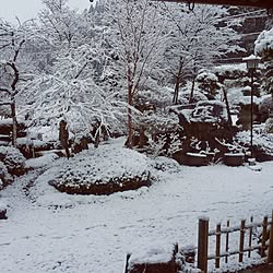 2017/1/12/おはようございます✩.*˚/いつもいいねやコメントありがとう～/雪景色/今日の1枚のインテリア実例 - 2017-01-12 08:42:52