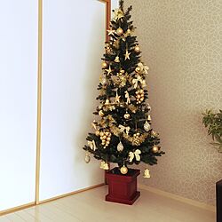 リビング/クリスマスツリーのインテリア実例 - 2016-11-25 13:17:10