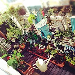 玄関/入り口/植物/ガーデン雑貨/多肉植物/べらんだGarden。...などのインテリア実例 - 2014-06-22 16:23:42