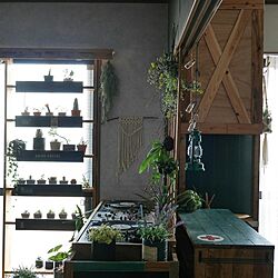 リビング/海外インテリア/観葉植物/賃貸DIY/DIY...などのインテリア実例 - 2017-06-27 15:10:18