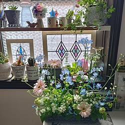 季節の花/植物が好き/生花のある暮らし/ごちゃごちゃ/デルフィニウム...などのインテリア実例 - 2023-04-03 16:29:17