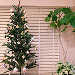 クリスマスツリー/クリスマス/男の子/IKEA/観葉植物...などのインテリア実例 - 2020-04-10 14:01:22