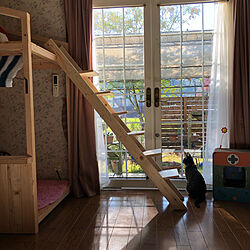 猫と暮らす家/猫のいる暮らし/猫のいるお部屋/猫の階段DIY/猫...などのインテリア実例 - 2022-11-18 11:06:34