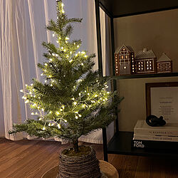 リビング/クリスマスツリー90cmのインテリア実例 - 2023-12-20 13:14:28