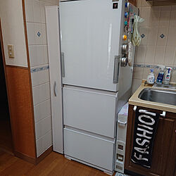キッチン/すきま収納/米びつ/冷蔵庫周りの収納棚のインテリア実例 - 2022-01-24 13:20:35
