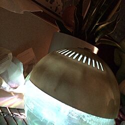 ベッド周り/照明/観葉植物のインテリア実例 - 2013-11-08 22:40:10