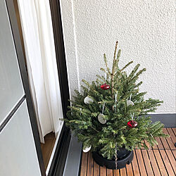 モミの木/IKEA/クリスマス/玄関/入り口のインテリア実例 - 2020-12-08 19:12:16