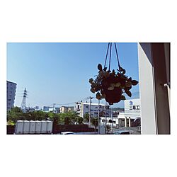 壁/天井/雑貨のインテリア実例 - 2016-12-12 20:20:48