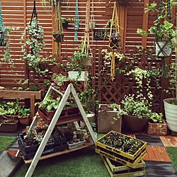 庭DIY/ラダー/ラダーＤIY/コンテストに参加/庭を素敵にしたい…...などのインテリア実例 - 2015-05-12 08:05:00