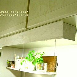 キッチン/DIY/蛍光灯カバーのインテリア実例 - 2014-02-19 00:38:45
