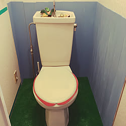 バス/トイレ/DIY/月曜大工/異空間トイレのインテリア実例 - 2018-12-09 22:12:16