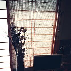 部屋全体/日本家屋/和室/サブウェイタイル/グリーンのある暮らしのインテリア実例 - 2016-09-10 09:17:59