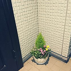 玄関/入り口のインテリア実例 - 2017-01-21 15:00:48