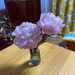 ユニクロの花/芍薬の花/机/DAISOの花瓶のインテリア実例 - 2022-06-05 07:53:00