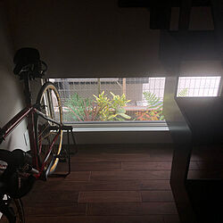 ロードバイク/階段/小さな幸せ/地窓/植栽...などのインテリア実例 - 2022-07-11 08:48:11