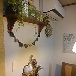 壁/天井/ハンドメイド/いなざうるす屋さん フェイクグリーン/3COINS/ユーカリドライのリースのインテリア実例 - 2016-12-04 21:54:54