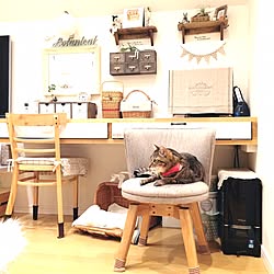 机/ナチュラル/NO CAT,NO LIFE❤️/ねこのいる風景/IKEA...などのインテリア実例 - 2017-05-01 19:25:48