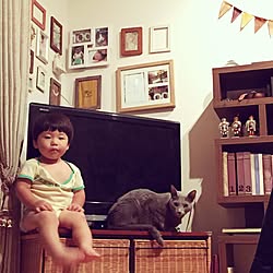 棚/テレビ台/ねこと暮らすのインテリア実例 - 2015-10-02 14:59:37