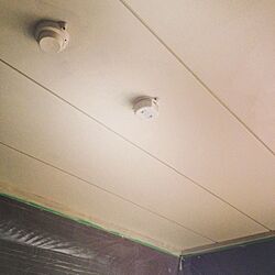 壁/天井/和室/ペイント/薄いグレーのインテリア実例 - 2014-02-02 20:50:31