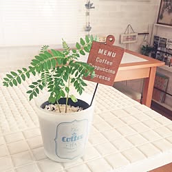 机/カフェテーブル/いつもいいね！ありがとうございます♪/植物/100均...などのインテリア実例 - 2016-01-05 15:03:22