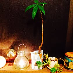 WTW/candle night/green/ACTUS spira/ベッド周り...などのインテリア実例 - 2015-05-01 23:32:01