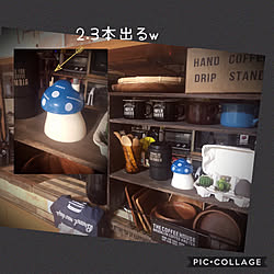 部屋全体/ワイヤーカゴ/アカシア食器/マグカップ/棚DIY...などのインテリア実例 - 2019-02-09 22:31:18