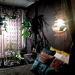 ベッド周り/これさえあれば、わたしの部屋/観葉植物のある暮らし/観葉植物が可愛い❤/観葉植物のある部屋...などのインテリア実例 - 2018-07-14 22:57:04