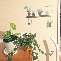 壁/天井/掃除機/スピーカー/壁に飾る/観葉植物のある部屋のインテリア実例 - 2017-01-31 21:04:08