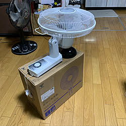 山善さん/扇風機/部屋全体のインテリア実例 - 2019-09-11 04:57:53