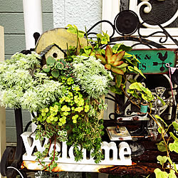 花のある暮らし/セリア/はんどめいど♪/トールペイント♡/多肉植物寄せ植え...などのインテリア実例 - 2020-03-13 14:42:53