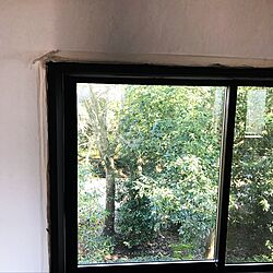 壁/天井/窓枠/漆喰壁/塗装のインテリア実例 - 2017-04-05 00:54:32