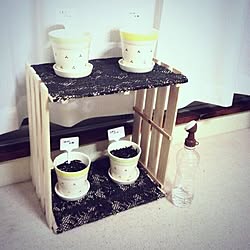 部屋全体/植物/手作り/DIY/家庭菜園...などのインテリア実例 - 2013-09-08 00:19:28