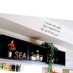 棚/賃貸でも楽しく♪/いいね、フォロー本当に感謝です♡/SEA♡/ハワイアン雑貨...などのインテリア実例 - 2016-06-30 17:29:48