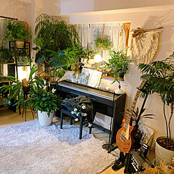 観葉植物/観葉植物のある暮らし/ピアノ/ギター/ピアノがある部屋...などのインテリア実例 - 2022-05-26 22:08:10