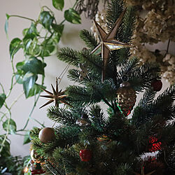クリスマスツリー150cm/こどもと暮らす。/クリスマス/クリスマスディスプレイ/リビングのインテリア実例 - 2021-12-01 16:01:41