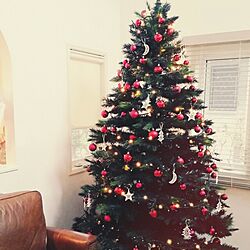 リビング/クリスマスツリー/うちではないです/クリスマスのインテリア実例 - 2014-11-29 15:42:23