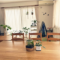 観葉植物のある暮らし/観葉植物/IKEAワゴン/ハンモックのある暮らし/ハンモック...などのインテリア実例 - 2023-04-15 09:33:36